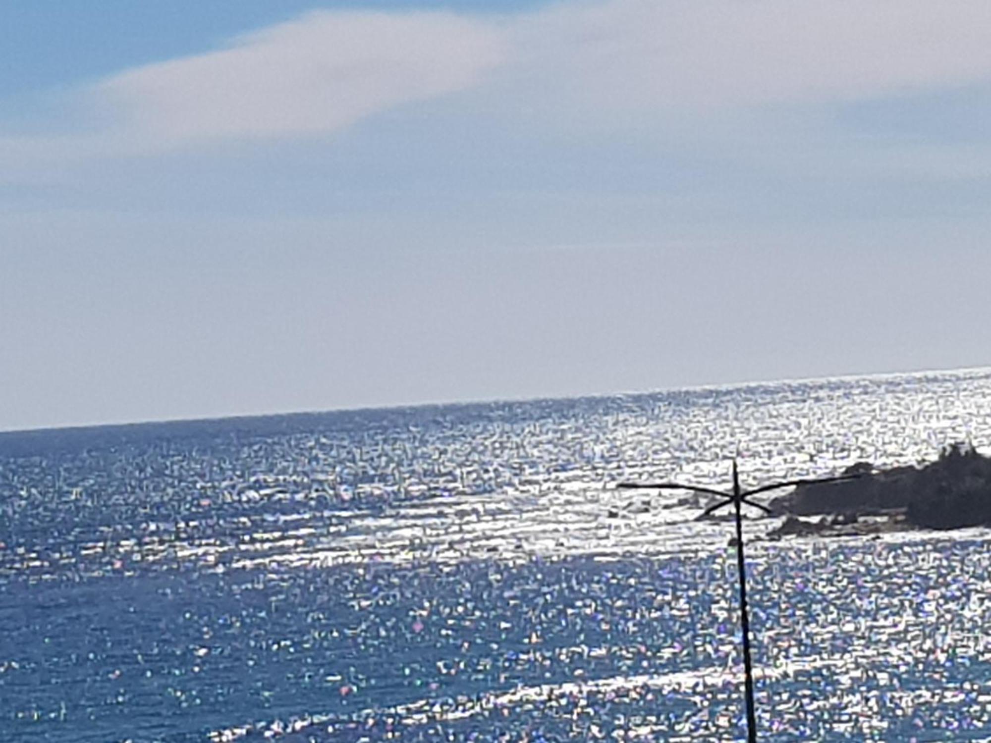 Ajaccio Centre Vieille Ville Imperiale Tt Confort Ttes Commodites 3 A 4 Pers Cathedrale A 300M Mer Port Marche Local Plages מראה חיצוני תמונה